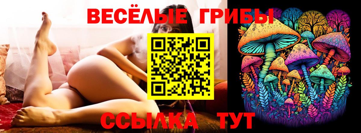 Галлюциногенные грибы Psilocybine cubensis Нальчик