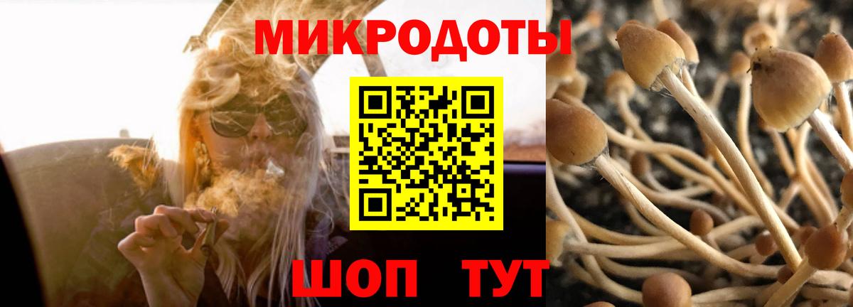 Псилоцибиновые грибы Psilocybe  Вход с VPN  Нальчик  Псилоцибиновые грибы Psilocybine cubensis 
